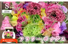 【期間限定発送】 生花 美郷の フラワー ボックス (小)  [花のたかはし 宮崎県 美郷町 31aq0003] ラナンキュラス スイートピー 花 ギフト 贈り物 プレゼント 誕生日 卒業祝い 入学祝い 結婚祝い 結婚記念日 送別 昇進祝い 退職祝い 新居祝い