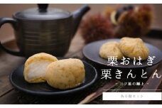 【期間限定受付】和菓子 栗きんとん & 栗おはぎ 各 6個入 × 2箱 [栗きんとん はな恵 宮崎県 美郷町 31am0006] 菓子 お菓子 栗 和栗 国産 スイーツ 冷凍 セット