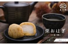【期間限定受付】和菓子 栗おはぎ 6個入 × 2箱 [栗きんとん はな恵 宮崎県 美郷町 31am0004] 菓子 お菓子 栗 和栗 国産 スイーツ 冷凍