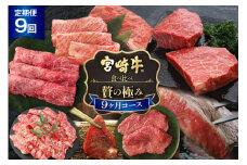 9回 定期便 宮崎牛 食べ比べ 贅の極み 9ヶ月 コース 合計 5.48kg [マルミヤストア 宮崎県 美郷町 31ag0134] 肉 牛 牛肉 焼肉 ステーキ 黒毛 和牛 国産 A4 A5