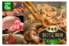 6回 定期便 宮崎牛 贅沢 6ヶ月コース 合計11.6kg [マルミヤストア 宮崎県 美郷町 31ag0138] 肉 牛 牛肉 小間 こま ヒレ ステーキ サーロイン モモ 焼肉 スライス 薄切り うす切り バラ