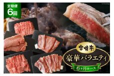 6回 定期便 宮崎牛 豪華 バラエティ 6ヶ月コース 合計4.6kg [マルミヤストア 宮崎県 美郷町 31ag0139] 肉 牛 牛肉 モモ もも 焼肉 バラ 肩ロース スライス サーロイン ステーキ