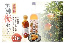 南高梅使用！ 梅酒 & 梅干し & 焼肉のたれ セット [農林産物直売所 美郷ノ蔵 宮崎県 美郷町 31ab0083] 酒 お酒 梅干 うめぼし 焼肉 タレ