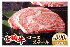 宮崎牛 ロース ステーキ 250g×2[ミヤチク 宮崎県 美郷町 31au0074] 牛肉 肉 冷凍 宮崎県産 国産 霜降り サシ BBQ バーベキュー