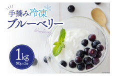 【期間限定配送】 ブルーベリー 冷凍 500g × 2袋 1kg [農林産物直売所 美郷ノ蔵 宮崎県 美郷町 31ab0090] 国産 手摘み 小分け ヨーグルト 宮崎県産 おやつ お菓子 朝ごはん 朝ご飯