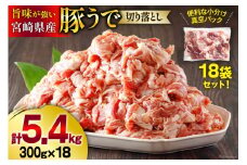 豚肉 小分け 切り落とし 300g×18袋 合計5.4kg [甲斐精肉店 宮崎県 美郷町 31as0125] 冷凍 宮崎県産 豚 ウデ 腕 切落し 真空包装 焼肉