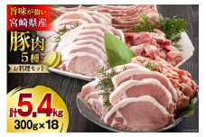 豚肉 小分け 切り落とし ロース 豚バラ スライス お料理セット 計5.4kg [甲斐精肉店 宮崎県 美郷町 31as0096] 肉 冷凍 宮崎県産 豚 ウデ 腕 切落し 詰め合わせ 真空包装 うす切り 薄切り