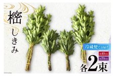 しきみ しきび 4束 セット 70cm 40cm 各2束 [中村しきみ園 宮崎県 美郷町 31ay0003] 樒 シキミ 彼岸 お墓 おしきみ お彼岸 墓参り 宮崎県産 産 冷蔵便