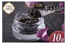 美郷 キャビア チョウザメ 10g [宮崎キャビア 宮崎県 美郷町 31az0010] きんかん キンカン 金柑 フレーバー 冷凍 宮崎県産