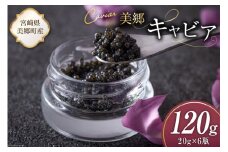 美郷 キャビア チョウザメ 120g [宮崎キャビア 宮崎県 美郷町 31az0018] きんかん キンカン 金柑 フレーバー 冷凍 宮崎県産
