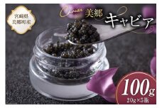 美郷 キャビア チョウザメ 100g [宮崎キャビア 宮崎県 美郷町 31az0017] きんかん キンカン 金柑 フレーバー 冷凍 宮崎県産