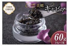 美郷 キャビア チョウザメ 60g [宮崎キャビア 宮崎県 美郷町 31az0015] きんかん キンカン 金柑 フレーバー 冷凍 宮崎県産