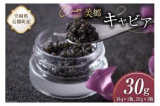 美郷 キャビア チョウザメ 30g [宮崎キャビア 宮崎県 美郷町 31az0012] きんかん キンカン 金柑 フレーバー 冷凍 宮崎県産