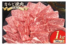 【宮崎牛】 カルビ 焼肉 500g×2 計1kg [ローカルブランディング 宮崎県 美郷町 31bb0034] 和牛 国産 BBQ バーベキュー 牛肉 カルビ 焼肉 黒毛 和牛 国産 宮崎 A4 A5