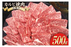 牛肉 焼肉 宮崎牛 カルビ焼肉 500g [ローカルブランディング 宮崎県 美郷町 31bb0033] 肉 黒毛和牛 カルビ 焼き肉 冷凍 BBQ バーベキュー A4 A5 にく 牛