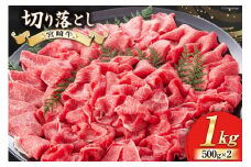【宮崎牛】 切り落とし 500g×2 計1kg [ローカルブランディング 宮崎県 美郷町 31bb0018] 黒毛 和牛 国産 宮崎 A4 A5等級 牛肉 赤身 焼肉 宮崎県産 冷凍 送料無料 ブランド 牛 肉 霜降り BBQ バーベキュー キャンプ
