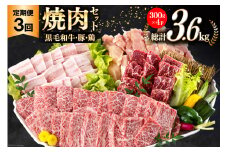牛肉 3回 定期便 宮崎県産 焼肉 セット 黒毛和牛カルビ 豚バラ 若鶏モモ 各 300g 計 1.2kg ×3回 [サンアグリフーズ 宮崎県 美郷町 31ba0036] 小分け 冷凍 BBQ 詰め合わせ 経産牛 もも肉 モモ 牛 豚 鶏 カルビ バラ肉