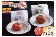 南高梅 梅干し 美郷梅 一粒入り うま味昆布 & シソ風味 各6粒 3Lサイズ A級品 化粧箱入り [農林産物直売所 美郷ノ蔵 宮崎県 美郷町 31ab0101] 国産 セット 詰め合わせ 宮崎県産 美郷産 常温 送料無料 贈答品 父の日 母の日 プレゼント ギフト