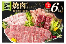 牛肉 5回 定期便 宮崎県産 焼肉 セット 黒毛和牛 モモ カルビ 豚バラ 若鶏 モモ 各 300g 計 6kg [サンアグリフーズ 宮崎県 美郷町 31ba0038] 小分け 冷凍 国産 詰め合わせ 経産牛 もも肉 モモ 牛 豚 鶏