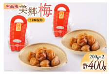 南高梅 梅干し 美郷梅 昆布 200g×2 3Lサイズ 塩分控えめ A級品 [農林産物直売所 美郷ノ蔵 宮崎県 美郷町 31ab0109] 国産 宮崎県産 美郷産 常温 送料無料 贈答品 父の日 母の日 プレゼント ギフト おやつ お菓子 料理 調理 おかず