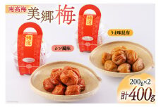 梅 南高梅 美郷梅使用 梅干し 昆布 シソ 風味 セット 3L サイズ 200g ×2 [農林産物直売所 美郷ノ蔵 宮崎県 美郷町 31ab0111] うめ ウメ 個包装 詰め合わせ