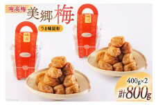 南高梅 梅干し 美郷梅 昆布 400g×2個 3Lサイズ 塩分控えめ A級品 [農林産物直売所 美郷ノ蔵 宮崎県 美郷町 31ab0112] 国産 宮崎県産 美郷産 常温 送料無料 贈答品 父の日 母の日 プレゼント ギフト 贈り物 おやつ お菓子 料理 調理 おかず 普段使い