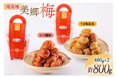 南高梅 梅干し 美郷梅 昆布 シソ風味 セット 各400g×1 3Lサイズ A級品 [農林産物直売所 美郷ノ蔵 宮崎県 美郷町 31ab0114] 国産 セット 詰め合わせ　 宮崎県産 美郷産 常温 送料無料 贈答品 父の日 母の日 プレゼント ギフト 食べ比べ 2種 贈り物 おやつ お菓子 調理 おかず 料理 普段使い