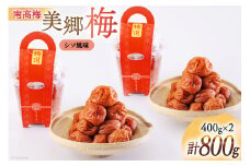 南高梅 梅干し 美郷梅 シソ風味 400g×2 3Lサイズ 塩分控えめ A級品 [農林産物直売所 美郷ノ蔵 宮崎県 美郷町 31ab0113] 国産 宮崎県産 美郷産 常温 送料無料 贈答品 父の日 母の日 プレゼント ギフト 贈り物 おやつ お菓子 調理 おかず 料理 普段使い
