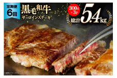 6回 定期便 宮崎県産 黒毛和牛 サーロイン ステーキ 300g ×3×6ヶ月 合計5.4kg [サンアグリフーズ 宮崎県 美郷町 31ba0035] 小分け 冷凍 送料無料 国産 牛 肉 霜降り BBQ バーベキュー キャンプ 真空包装 スペース 収納 サシ がっつり 脂