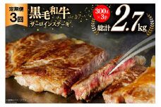 3回 定期便 宮崎県産 黒毛和牛 サーロイン ステーキ 300g ×3×3ヶ月 合計2.7kg [サンアグリフーズ 宮崎県 美郷町 31ba0032] 小分け 冷凍 送料無料 国産 牛 肉 霜降り BBQ バーベキュー キャンプ 真空包装 スペース 収納 サシ がっつり 脂