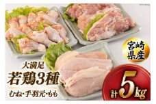 若鶏 むね 手羽元 もも 合計5kg 1kg包装 [アグリ産業匠泰 宮崎県 美郷町 31be0045] 小分け 鶏肉 冷凍 送料無料 炒め物 煮込み 調理 料理 大容量 真空 胸 ジューシー ヘルシー 唐揚げ からあげ チキン南蛮 照り焼き 甘辛煮 とり天 ヤンニョム チキン 普段使い 便利 セット 詰め合わせ 3種
