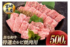 黒毛和牛 特選 カルビ 焼肉 500g [アグリ産業匠泰 宮崎県 美郷町 31be0049] 牛肉 炒め BBQ バーベキュー キャンプ 普段使い 調理 おかず 料理 国産 送料無料 パック 厳選 カルビ丼 クッパ 焼肉丼 スープ チャーハン 生春巻き マリネ 照り焼き 甘辛炒め チンジャオロース 青椒肉絲
