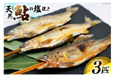 鮎 天然鮎 小丸川天然光鮎 ( 鮎塩焼き 3匹 ) [小丸川天然鮎光房 hikaru 宮崎県 美郷町 31af0003 ] 魚介 魚 塩焼き 個包装 パック 冷凍 お手軽 あゆ アユ
