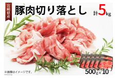 豚肉 切り落とし 宮崎県産 豚 切り落し 500g × 10 計5kg [アグリ産業匠泰 宮崎県 美郷町 31be0059] 肉 冷凍 ぶた肉 ぶた 小分け 個包装 切り落とし