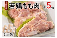 鶏肉 もも肉 宮崎県産 若鶏 もも 1kg × 5 計5kg [アグリ産業匠泰 宮崎県 美郷町 31be0061] 肉 鳥肉 とりにく 冷凍 小分け 個包装 モモ 鶏もも 鶏モモ
