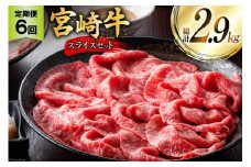 牛肉 定期便 宮崎牛スライスセット 6ヶ月定期便 [ミヤチク 宮崎県 美郷町 31au0088] 冷凍 スライス 小分け 個包装 牛モモ 牛バラ 牛 牛ロース 牛肩ロース