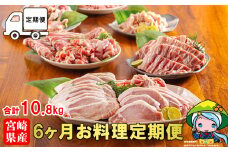 【5月発送】6回 定期便 豚 鶏肉 小分け お料理 セット 計10.8kg [甲斐精肉店 宮崎県 美郷町 31as0115-5gatsu] 肉 毎月 お届け 冷凍 宮崎県産 国産 若鶏 鳥 切落し ロース 生姜焼き とんかつ ひき肉 ミンチ もも カット バラ スライス 薄切り カレー