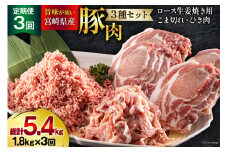 3回 定期便 宮崎県産 豚肉 ３種 セット ひき肉 こま切れ ロース生姜焼き用 小分け 合計5.4kg 各300g×2 [甲斐精肉店 宮崎県 美郷町 31as0116-9gatsu] 冷凍 宮崎県産 豚 肉 送料無料 炒め物 煮込み 豚丼 そぼろ丼 ハンバーグ 豚汁 キーマカレー 詰め合わせ 真空包装