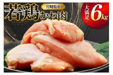 鶏肉 むね肉 若鶏 鶏むね肉 6kg [ミヤケイフード 宮崎県 美郷町 31bp0017] 鶏むね 鶏胸 むね 冷凍 小分け