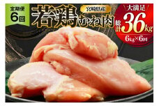 鶏肉 定期便 むね肉 若鶏 鶏むね肉 6kg 6回 総計36kg [ミヤケイフード 宮崎県 美郷町 31bp0019] 鶏むね 鶏胸 むね 冷凍 小分け