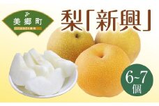 【期間限定発送】 梨 新興 6～7個 [農産物直売所 美郷ノ蔵 宮崎県 美郷町 31ab0134] なし ナシ 果物 くだもの フルーツ 美郷町産 ジューシー さいごう梨