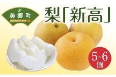 【期間限定発送】 梨 新高 5～6個 [農産物直売所 美郷ノ蔵 宮崎県 美郷町 31ab0133] なし ナシ 果物 くだもの フルーツ 美郷町産 ジューシー さいごう梨