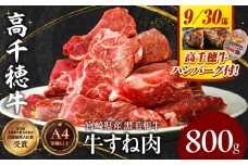 【期間限定】宮崎県産黒毛和牛A4等級以上 高千穂牛すね肉　800g + 高千穂牛100％ハンバーグ1個|  牛肉 肉 お肉 牛すね肉  国産牛 ブランド牛 和牛 牛肉 国産 ハンバーグ パック 冷凍 料理 煮込み料理 ビーフシチュー おでん  おかず |_Tk002-074