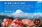 T-5【12ヶ月定期便】 高千穂牛 すね肉 400g×2パック×12回