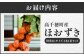 高千穂産ほおずき［観賞用］ P8
