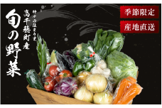 季節の里山野菜 | 野菜 詰め合わせ 詰合せ 旬 季節 食材 おまかせ セット 冷蔵 国産 新鮮 生 やさい 宮崎県 高千穂町 |_Tk005-075
