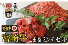 宮崎牛 こま肉・ミンチセット1kg 万能だれ付き | 牛肉 お肉 肉 宮崎牛小間切れ 小間切れ肉 こま肉 牛こま ミンチ 牛ミンチ ミンチ肉 精肉 たれ セット 炒め物 お弁当 普段使い 使い勝手 冷凍 和牛 国産牛 宮崎県産 お取り寄せ 高千穂町 |_Tk024-012
