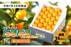 完熟きんかん たまたまエクセレント 1kg | 果物 フルーツ デザート スイーツ きんかん きんかんたまたま 完熟 宮崎県産 国産 宮崎産 贈答 贈り物 ギフト プレゼント ブランド 柑橘 柑橘系 柑橘類 おやつ グルメ お取り寄せ 宮崎県 高千穂町 |_Tk004-051