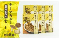 キーマカレー6箱セット | 中辛 カレー キーマカレー 椎茸 椎茸入り レトルト レトルトカレー カレーライス 簡単調理 惣菜 お惣菜 おかず グルメ お取り寄せ お取り寄せグルメ おすすめ 贈答 贈り物 ギフト 高千穂町産 国産 宮崎県 高千穂町 |_Tk005-018