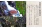 生産者と山を守り持続可能な栽培を続ける真似できない高千穂郷産干ししいたけ